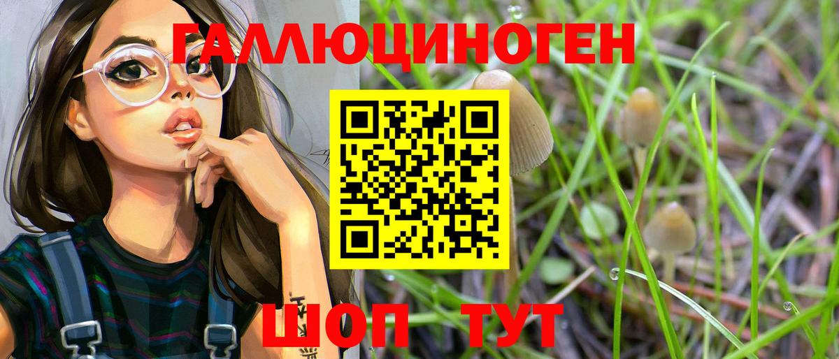 Галлюциногенные грибы Psilocybe Зеленогорск