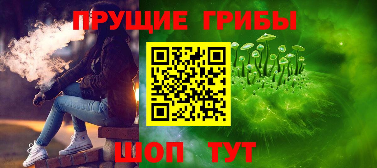 Галлюциногенные грибы мицелий  Вход с VPN  Зеленогорск  Галлюциногенные грибы Psilocybe 